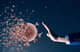 Slider image (10) Beijing Bioocus Medical Group